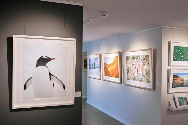 WSP-Gallery_1084-768x512