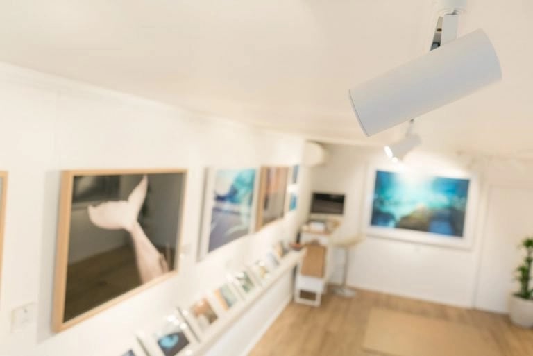 Craig-Parry-Art-Gallery-11-768x513