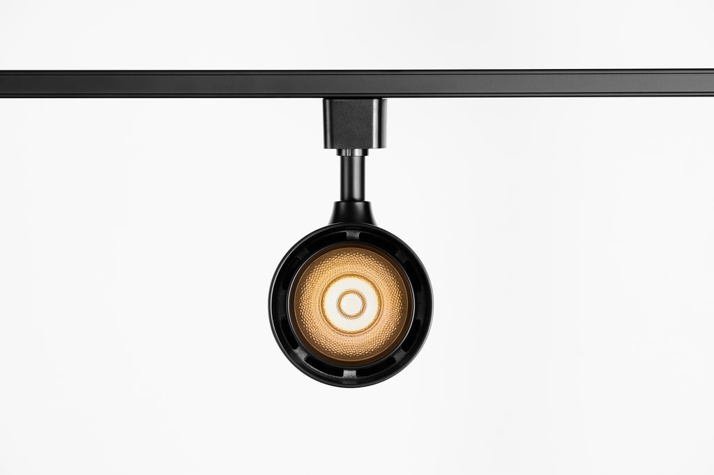 How track pendant lighting works with flexible track systems in Washington, Seattle