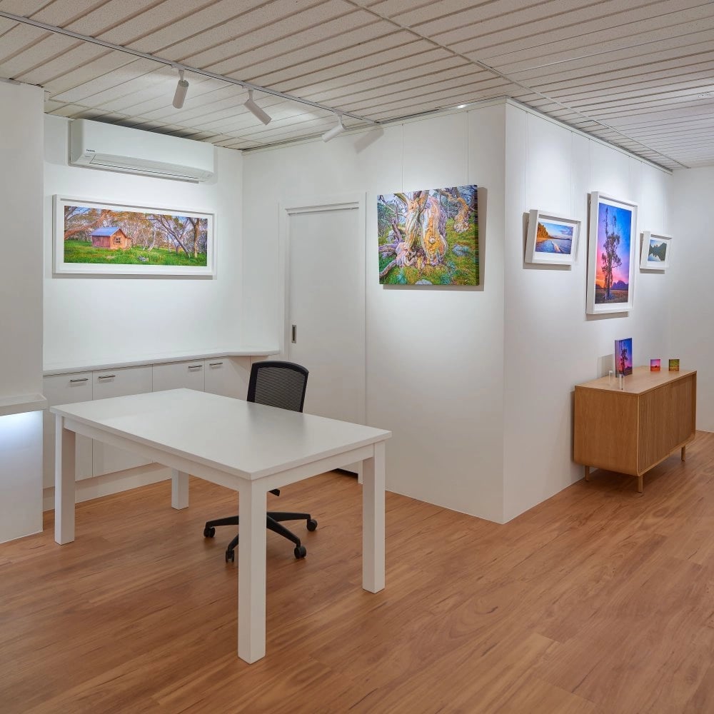 Best place to buy white ceiling track lighting in Florida, Orlando