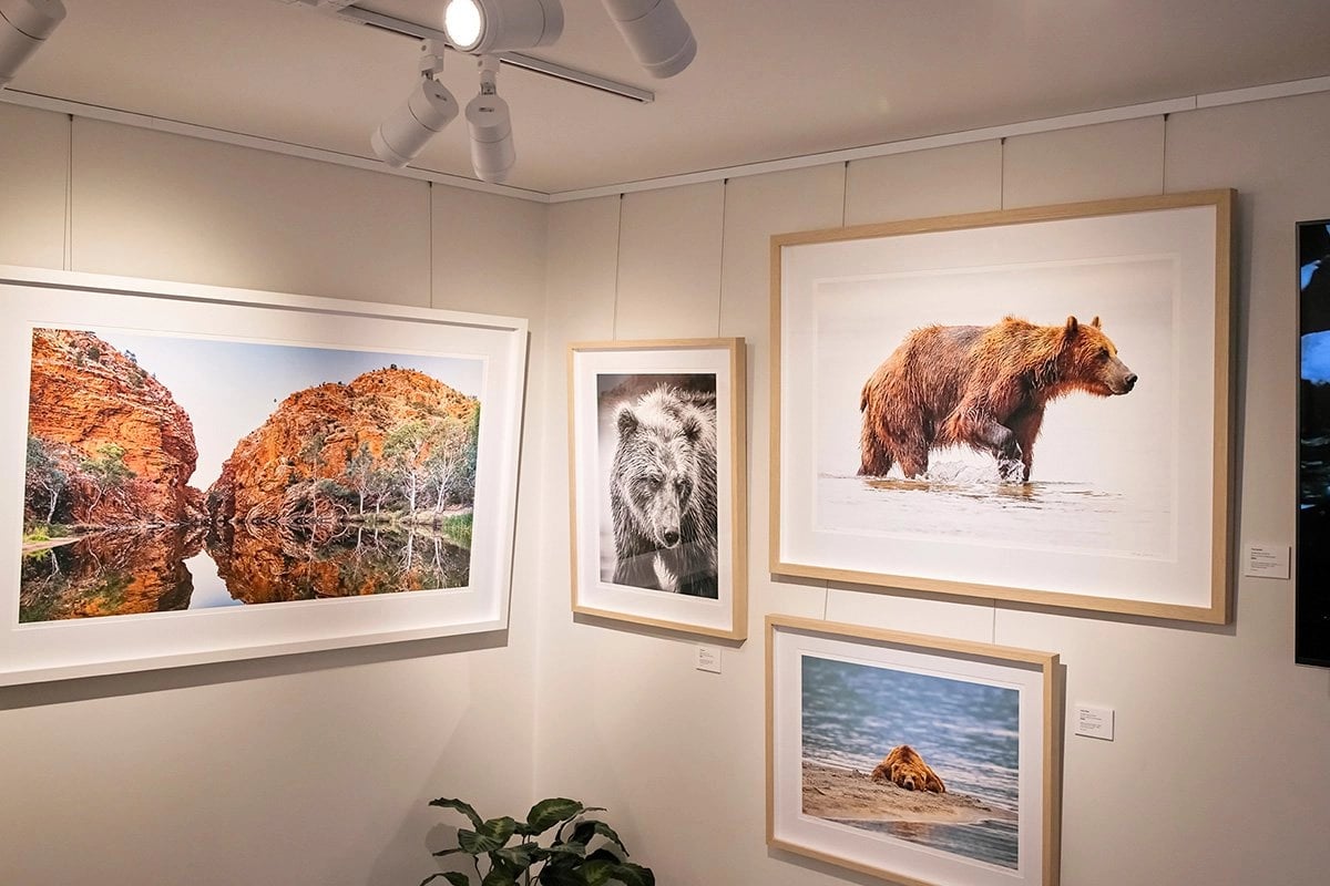 Best place to buy complete tracklight systems in Florida, Miami