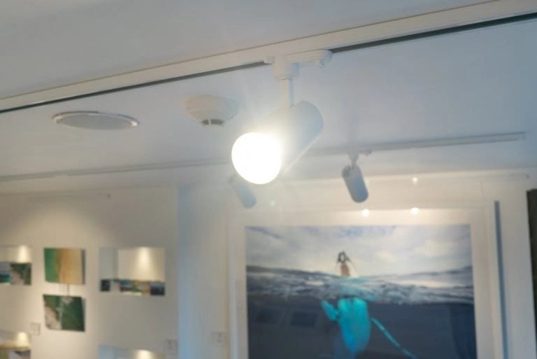 Buy flexible rail lighting for contemporary spaces in New York, New York City